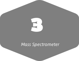 Mass spectrometer